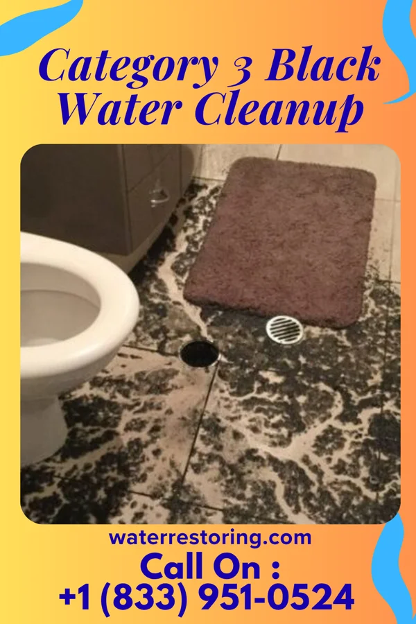 Category 3 Black Water Cleanup in Seaville, NJ