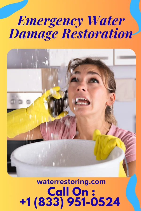 Emergency Water Damage Restoration in Seaville, NJ