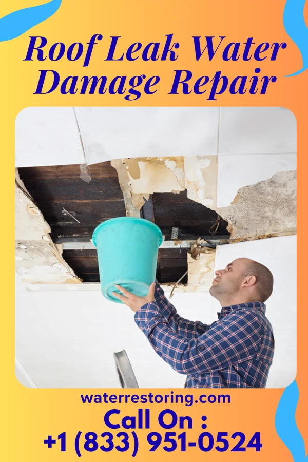 Roof Leak Water Damage Repair in Seaville, NJ