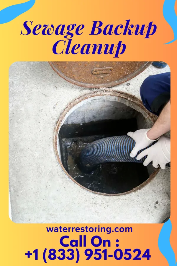 Sewage Backup Cleanup in Seaville, NJ